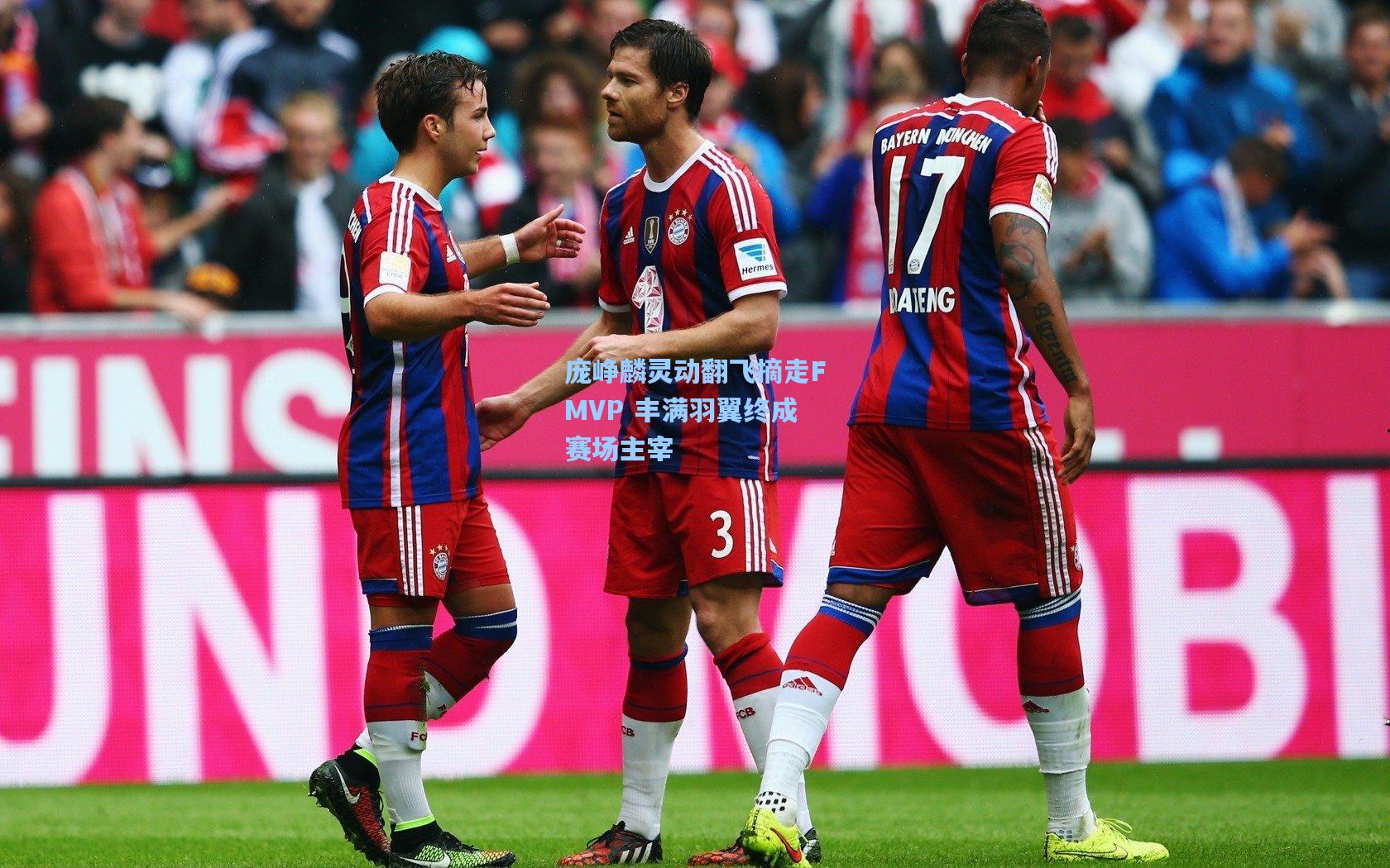 庞峥麟灵动翻飞摘走FMVP 丰满羽翼终成赛场主宰